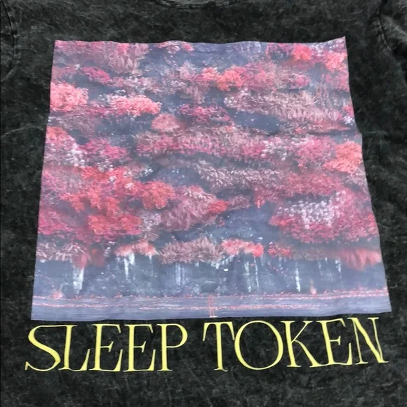 Sleep Token  Graphic Tee Wash Color - Size L - Like new. - Picture 5 of 7
